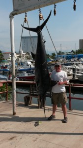 marlin fishing puerto vallarta report