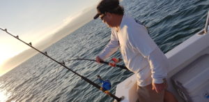 puerto vallarta fishing report february