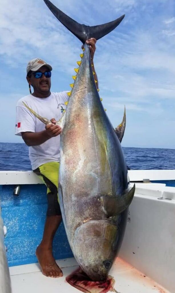 nuevo vallarta tuna fishing