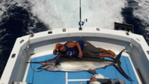 marlin fishing in mexico