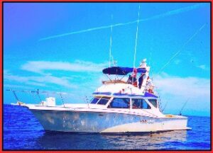 nuevo vallarta fishing charters