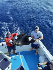 fishing for sailfish in nuevo vallarta