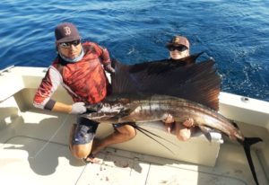 sailfish in Nuevo Vallarta