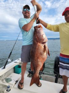 snapper fishing in nuevo vallarta