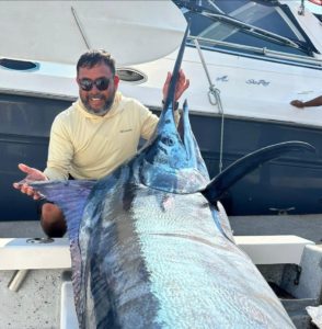 fish for marlin in Punta Mita ,Mexico