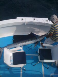 Puerto Vallarta fishing charters