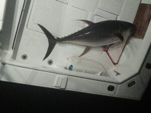 Puerto Vallarta fishing