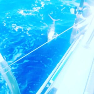 Fishing Puerto Vallarta