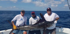 June fishing report for Puerto Vallarta